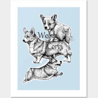 3 Corgi's Posters and Art